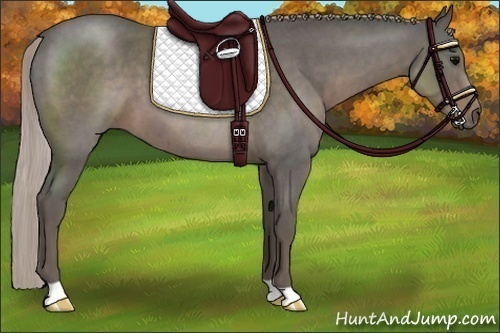 Horse Color:Silver Blue Roan 