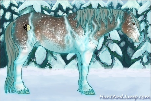 Horse Color:Thunderstruck White Spotted Liver Chestnut Appaloosa Rabicano 