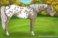 Horse Color:Silver Smoky Black Frame Appaloosa
