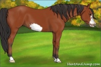 Horse Color:Brown Frame 