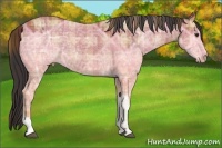 Horse Color:Plaid  Bay Ice 