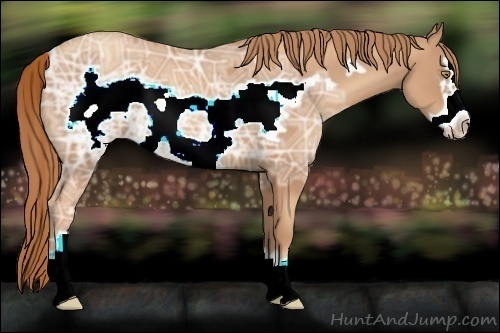 Horse Color:Gold Champagne Ice Frame 