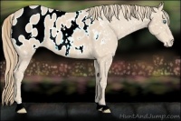 Horse Color:Perlino Blanket