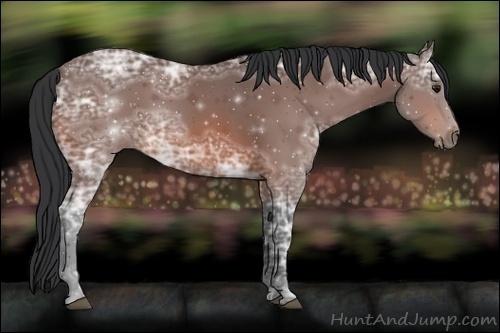 Horse Color:Bay Ice