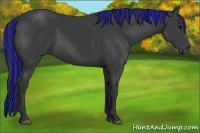 Horse Color:Painted Black 