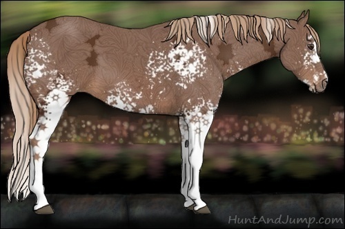Horse Color:White Spotted Chestnut Ice Splash