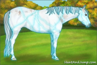 Horse Color:Gray Thunderstruck White Spotted Bay Splash
