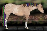 Horse Color:Painted Amber Champagne Ice Rabicano