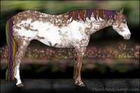 Horse Color:Painted Chestnut Ice Frame 