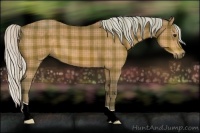 Horse Color:Plaid  Silver Brown 