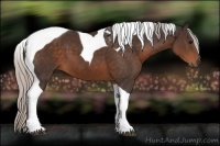 Horse Color:Silver Brown Tobiano 