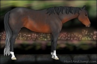 Horse Color:Brown 