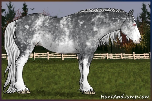Horse Color:White Spotted Silver Black Chinchilla 