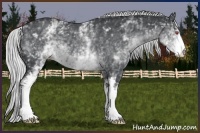 Horse Color:White Spotted Silver Black Chinchilla