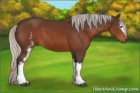 Horse Color:White Spotted Silver Brown