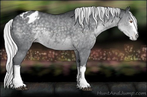 Horse Color:White Spotted Silver Black Chinchilla Appaloosa 