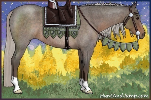 Horse Color:Silver Blue Roan 