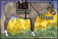 Horse Color:Silver Blue Roan 