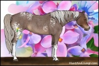 Horse Color:White Spotted Silver Brown Roan