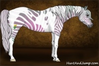 Horse Color:Watercolor Silver Bay Tobiano 