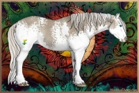 Horse Color:White Spotted Silver Grullo Splash Rabicano 