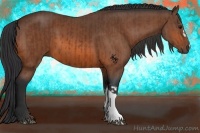 Horse Color:Bay and Bay