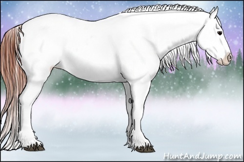 Horse Color:Brown Snowcap