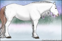 Horse Color:Brown Snowcap 