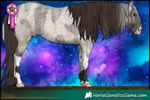 Horse Color:White Spotted Silver Smoky Blue Roan  and Liver Red Roan 