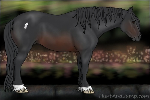 Horse Color:Brown 