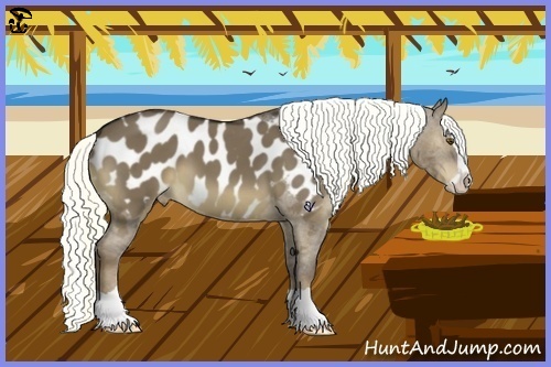 Horse Color:Liver Red Dun Mushroom Splash Near Leopard 