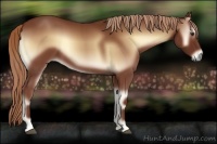 Horse Color:Red Onyx 
