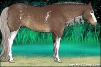 Horse Color:White Spotted Silver Brown