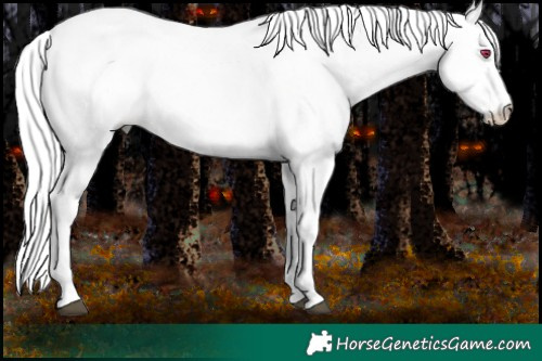 Horse Color:Liver Red Onyx Chinchilla Mushroom Sabino