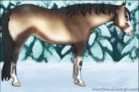 Horse Color:Brown Onyx Sabino