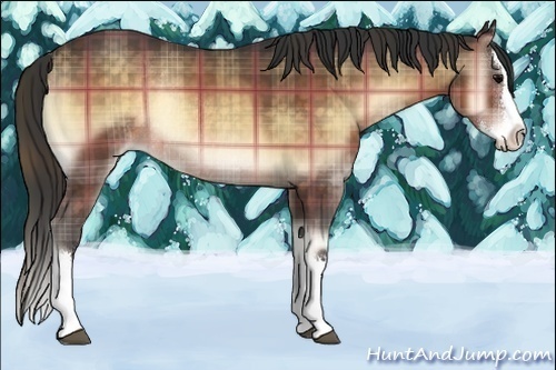 Horse Color:Plaid  Buckskin Onyx Sabino Splash Rabicano 