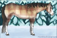Horse Color:Plaid Buckskin Onyx Sabino Splash Rabicano