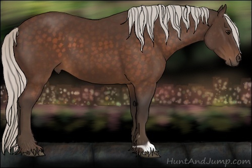 Horse Color:Silver Brown 