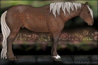 Horse Color:Silver Brown