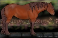 Horse Color:Chocolate Brown 