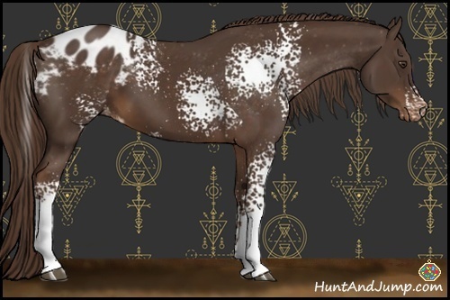 Horse Color:White Spotted Liver Chestnut Varnish