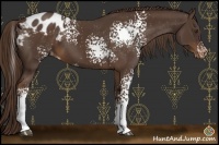 Horse Color:White Spotted Liver Chestnut Varnish