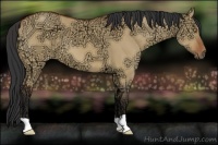Horse Color:Bay Ice Dun 