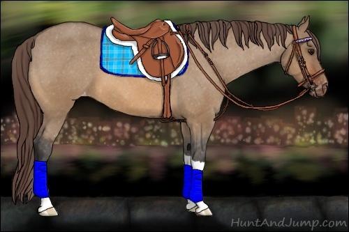Horse Color:Bay Dun Varnish 