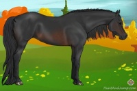 Horse Color:Brown 