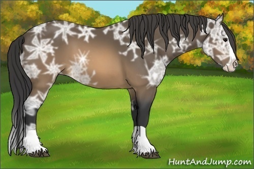 Horse Color:Buckskin Ice Splash 