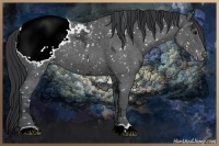 Horse Color:Blue Ice Roan Appaloosa 