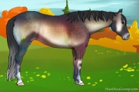 Horse Color:Brown Onyx