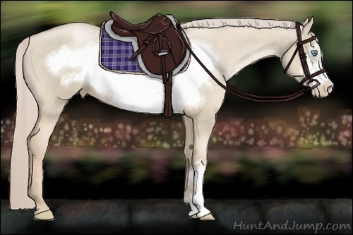 Horse Color:Chocolate Palomino Pearl Dun Frame 