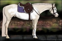 Horse Color:Chocolate Palomino Pearl Dun Frame 